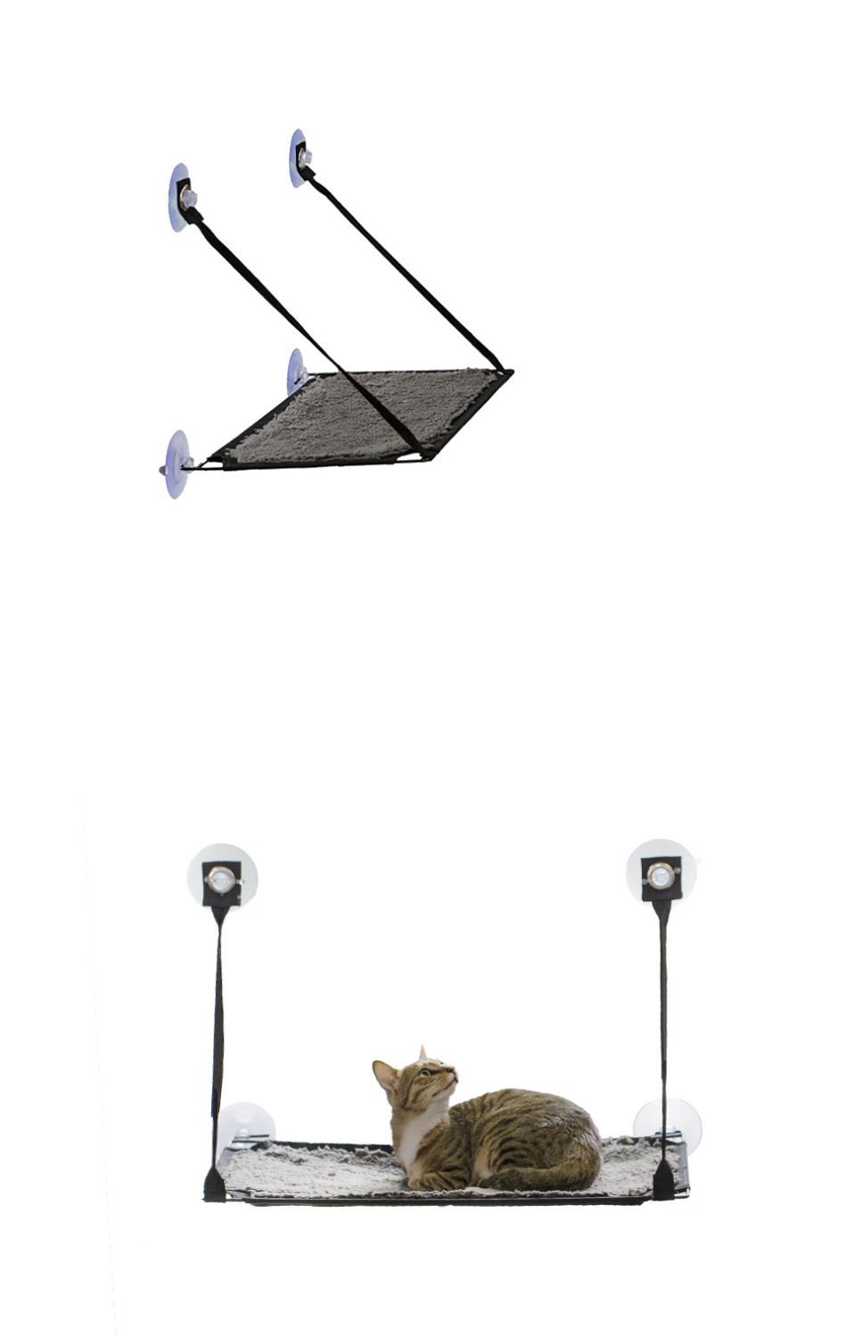 Cat Hammock 1