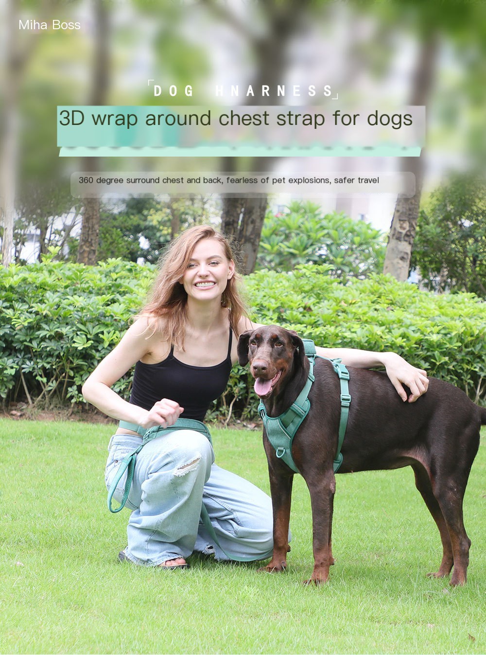 Dog Walking Bag