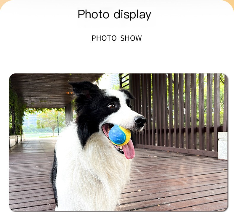 Dog Toy 6