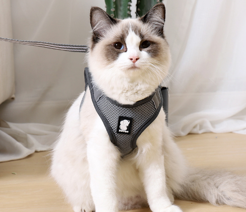 Gentle Paws Anti Strike Harness