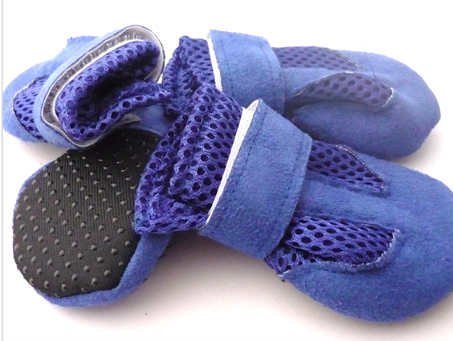Pet Shoes Image 4