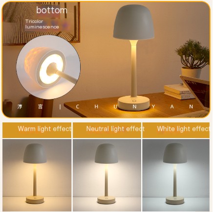 Atmosphere table lamp romantic fun gift projection remote control night light