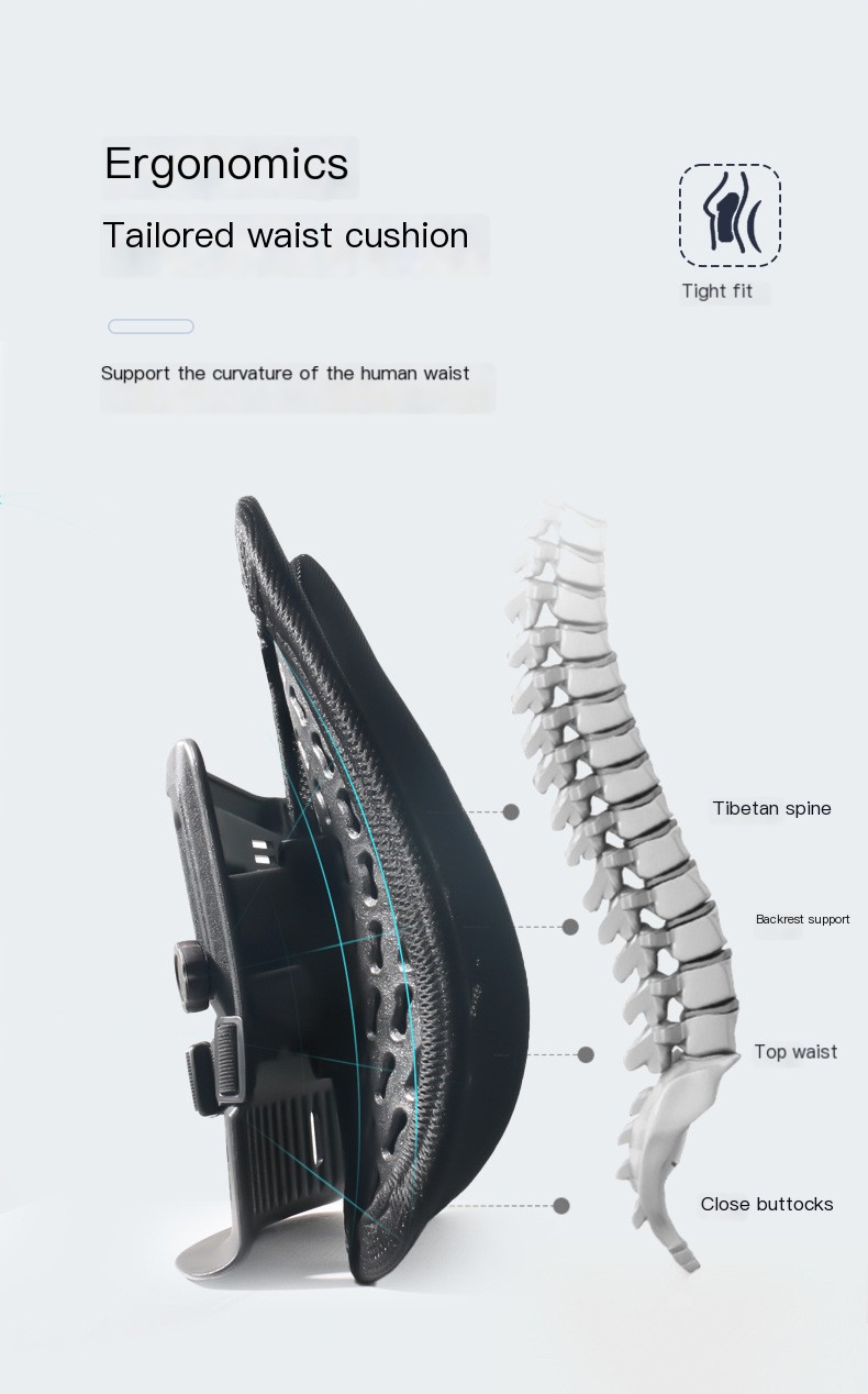 Lumbar Cushion Image 2