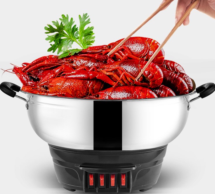 Electric Stir-Fry Pot