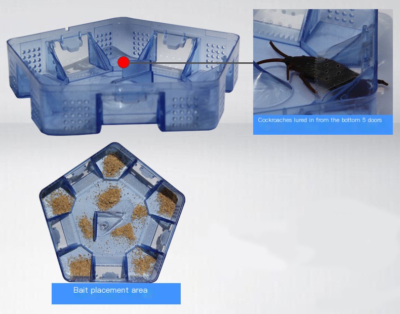 Cockroach Trap 4