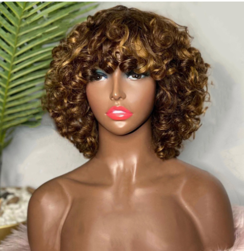 Curly Human Hair Wig