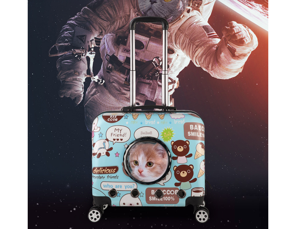 Pet Trolley Box Image 1