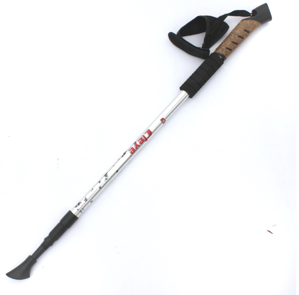 Trekking pole details