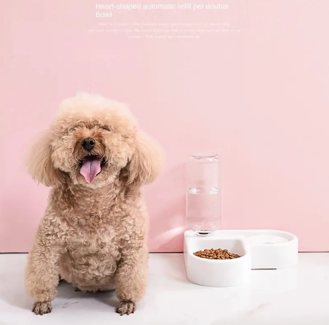 Food Bowl