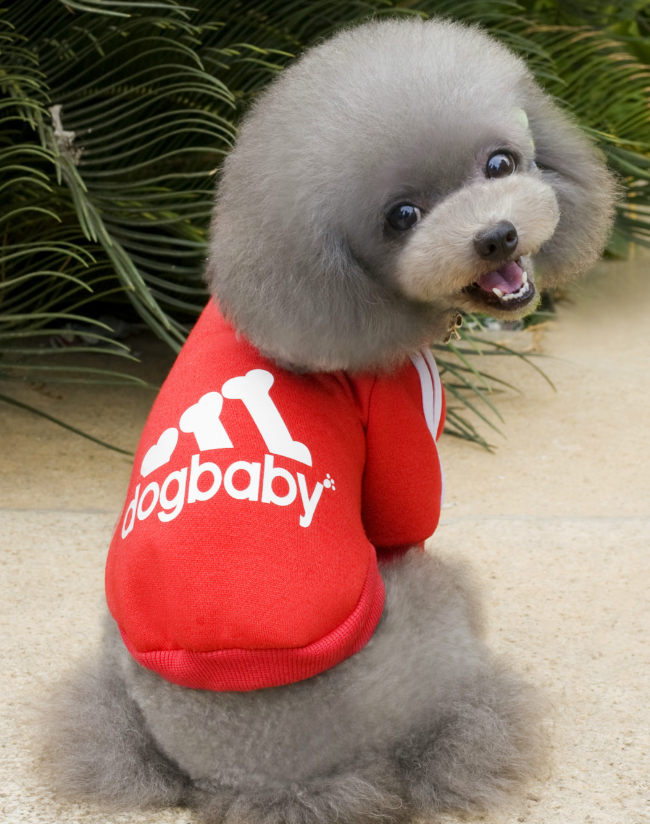 DogBaby Hoodie Back View