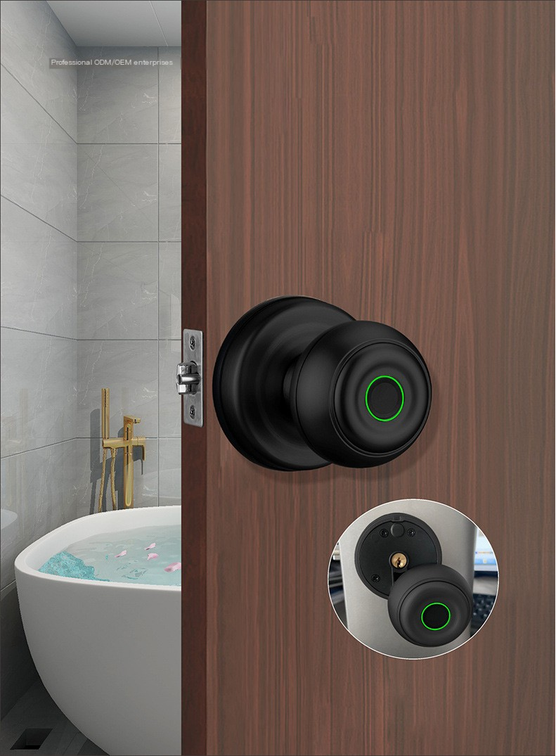 Spherical Fingerprint Lock Image 10