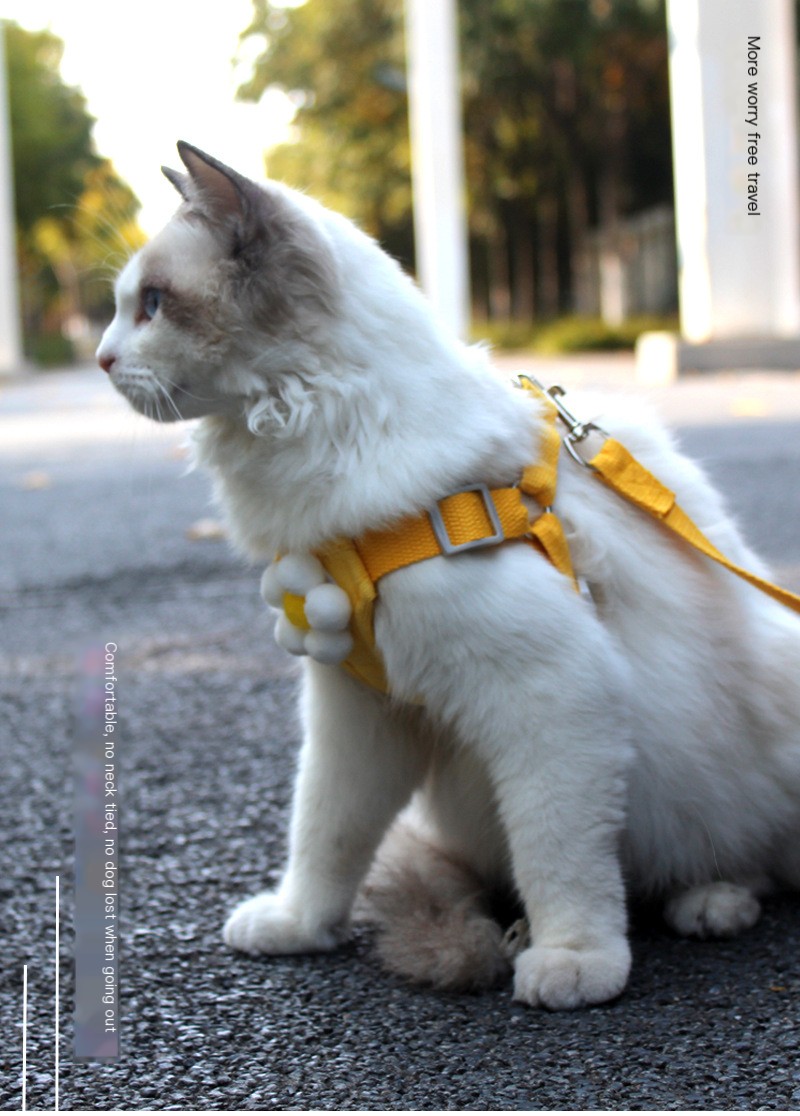 Pet Leash Pink