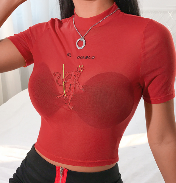 Red Mesh Top 6