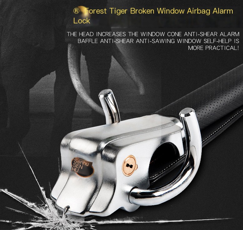 Steering Wheel Lock 1