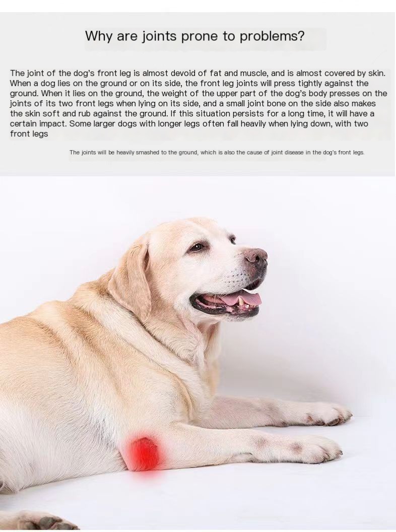 Dog Leg Injury Protection Cover Image 10