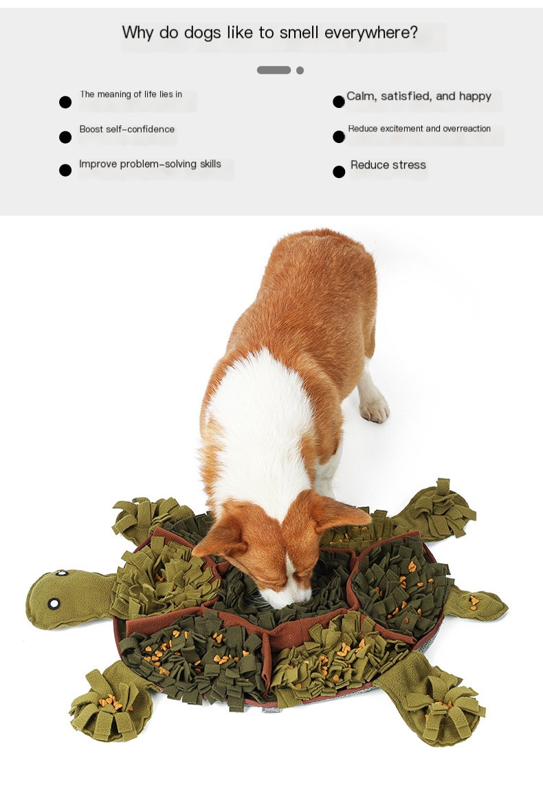 Sniffing Pad for Dogs