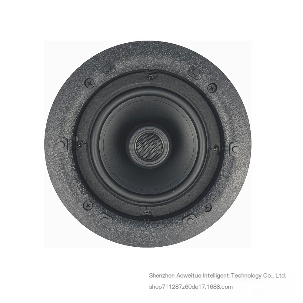 Ceiling Speaker 3