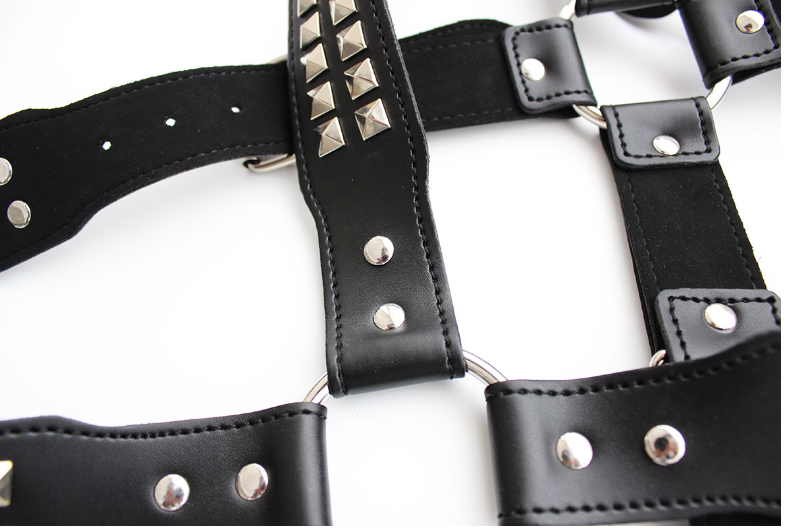 Bondage Bodysuit Image 3