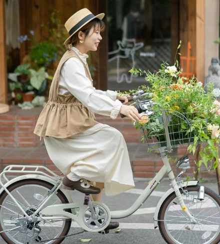 Cycling City Bicycle Image 1