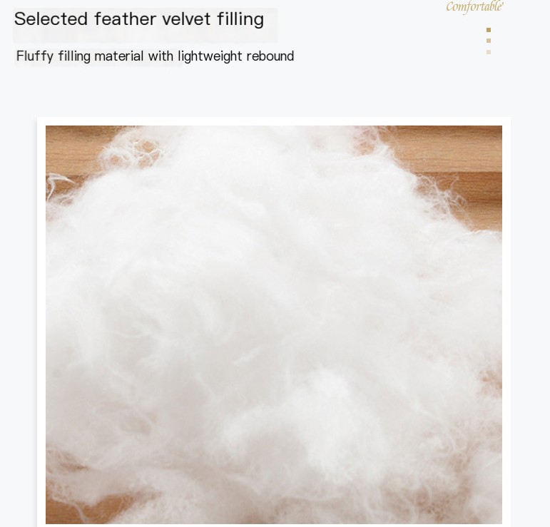Feather Velvet Pillow