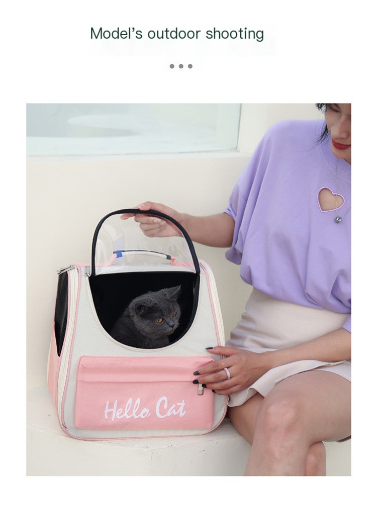 Cat Backpack 5