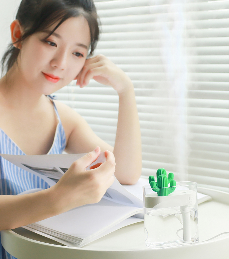 Stylish Humidifier Design