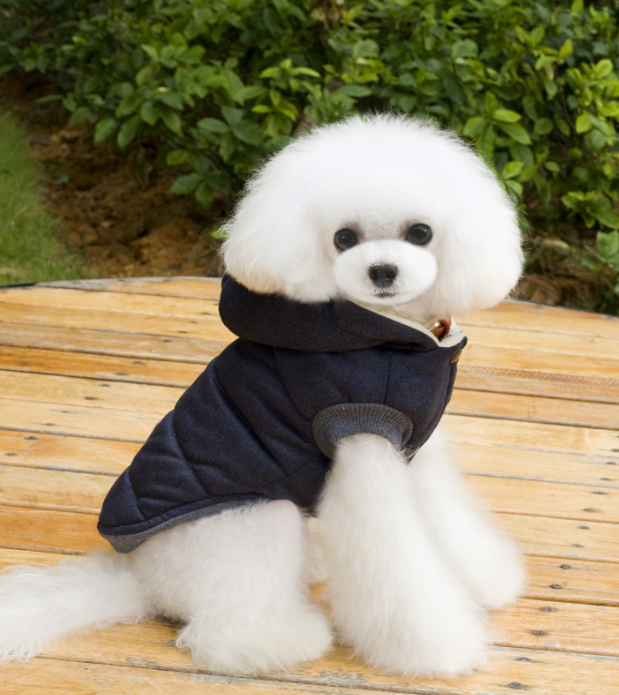 Pet Clothing Image 2