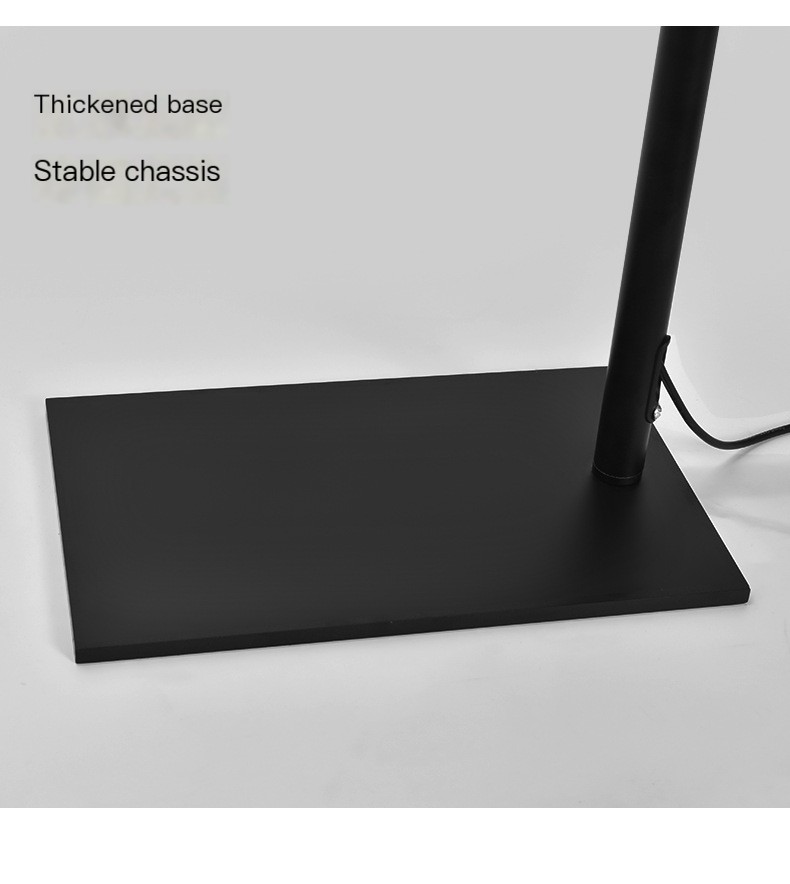 LED Beauty Floor Lamp