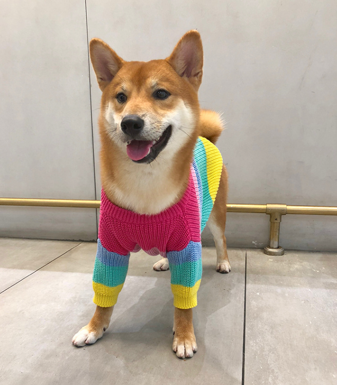 Rainbow Sweater - Side View