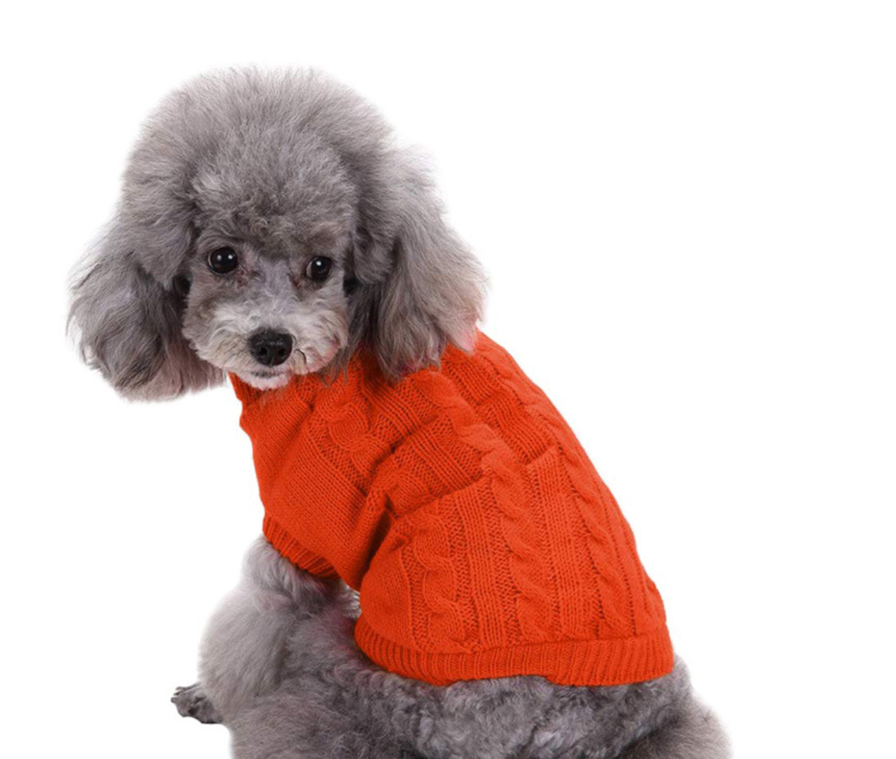 Dog Sweater 2