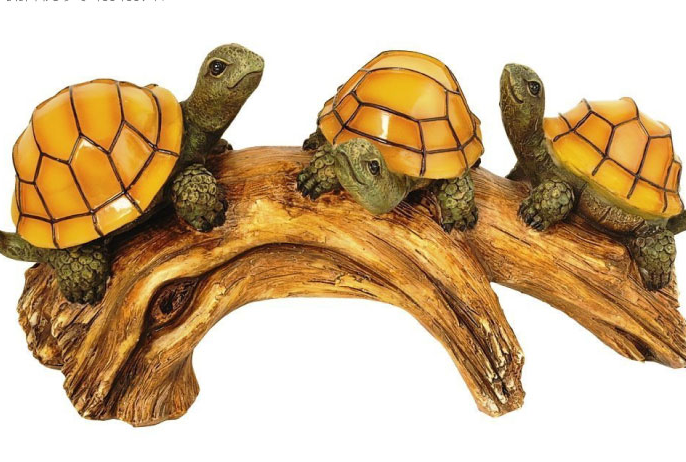 Solar-Powered Turtles on a Log