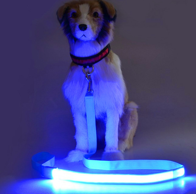 LED Light-Up Dog Leash - Image 3