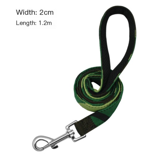 Pet Collar and Leash