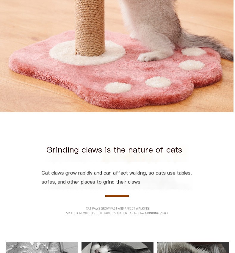 Cat Scratching Post 2