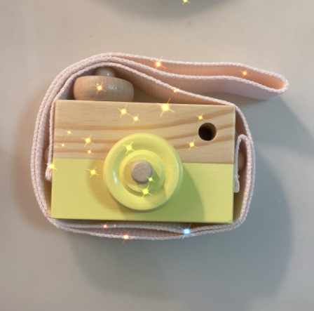 Different Color Variations of Wooden Camera