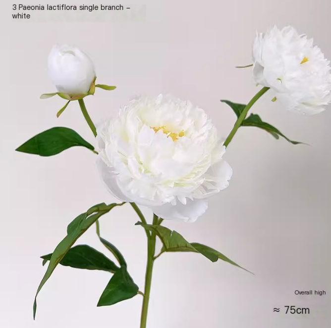 Stylish Peony Arrangement