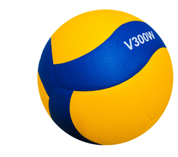 Volleyball Image 8