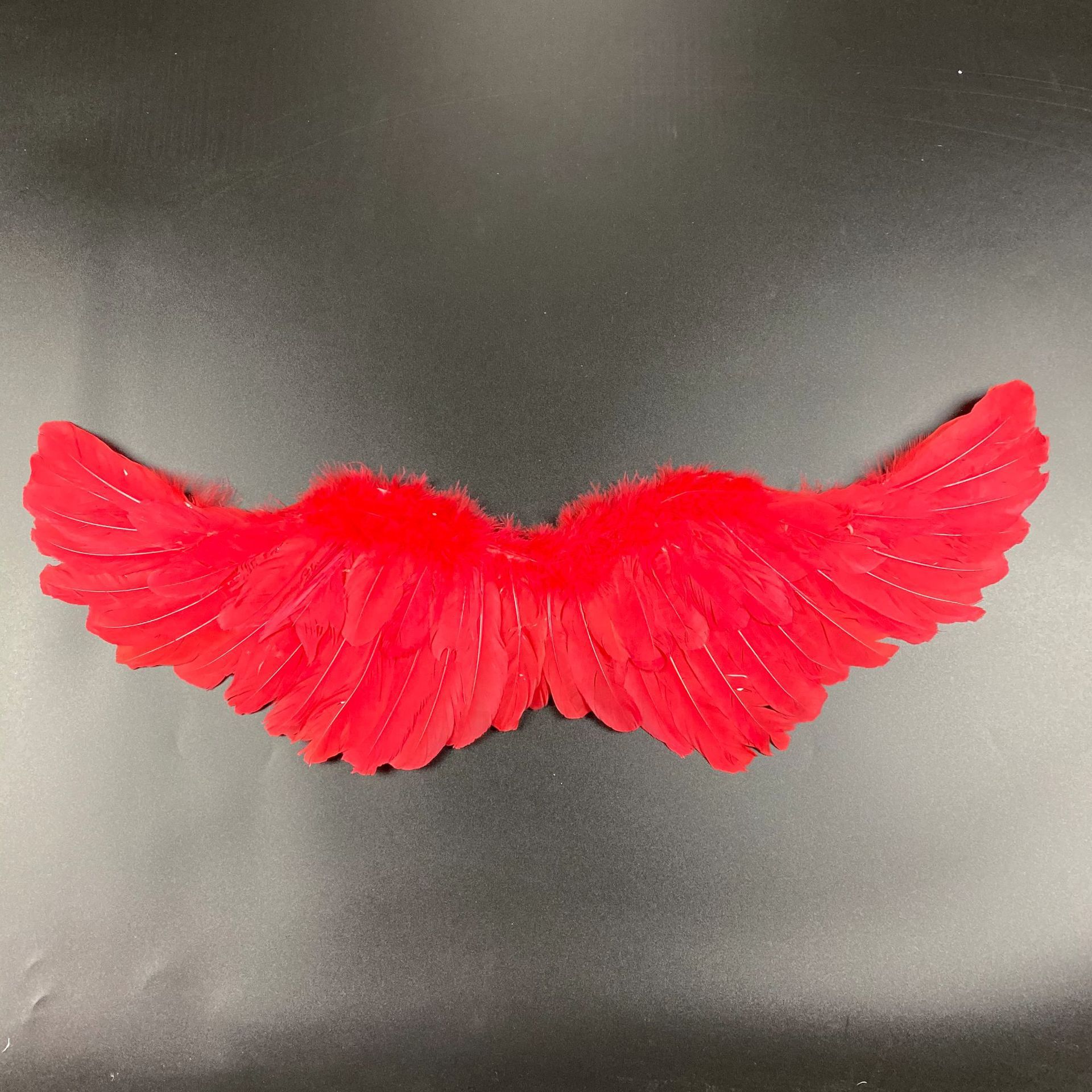 Black Feather Wings 3