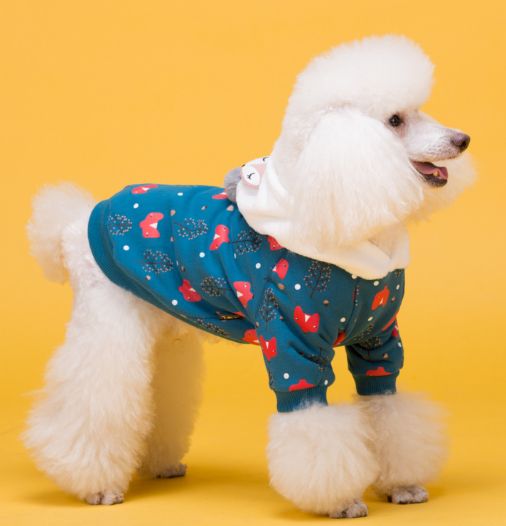 Dog Hoodie in Blue
