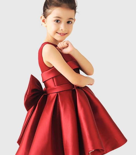 Princess Dress Image 3