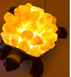 Beautiful Turtle Ornament