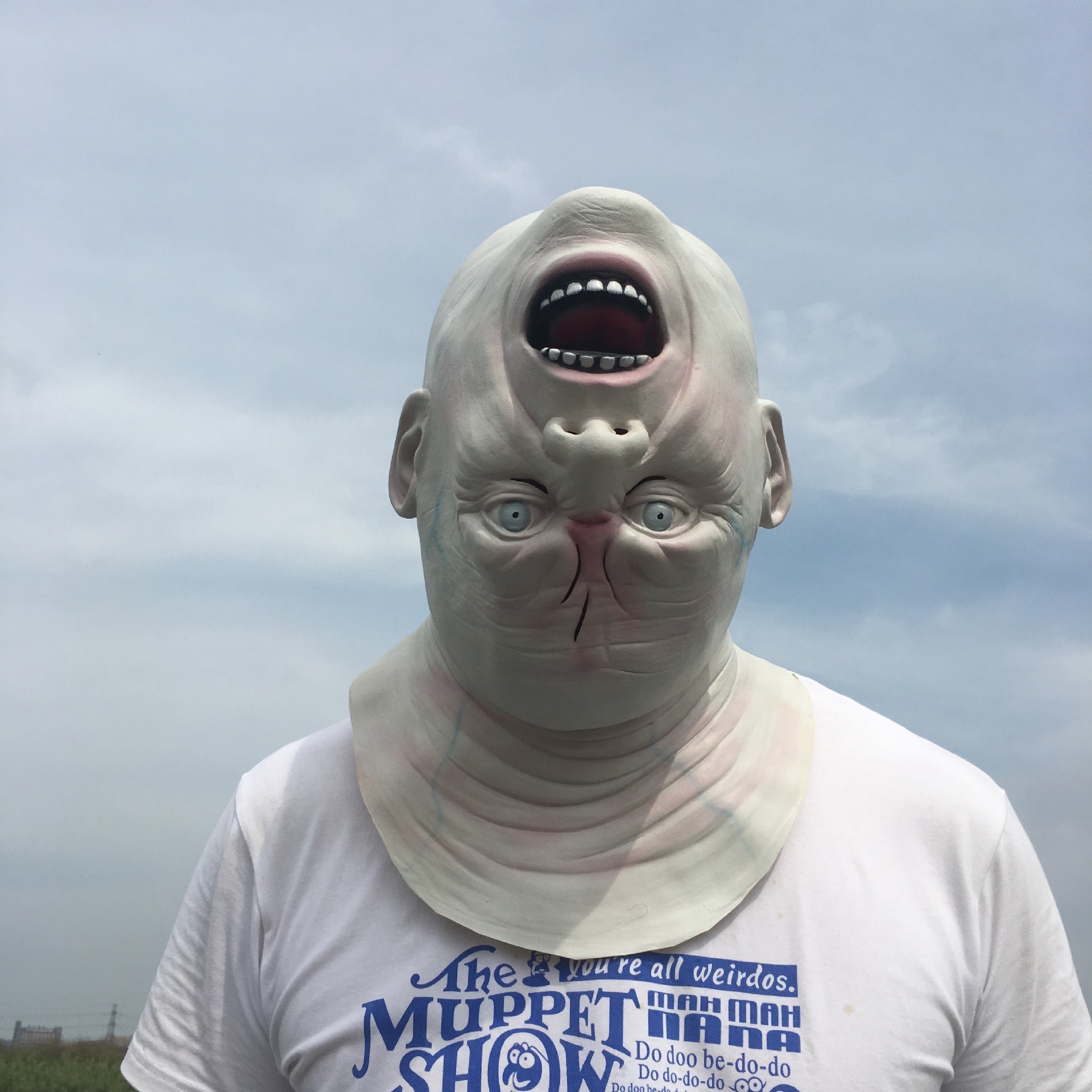 Day of the Dead Horror Face Mask