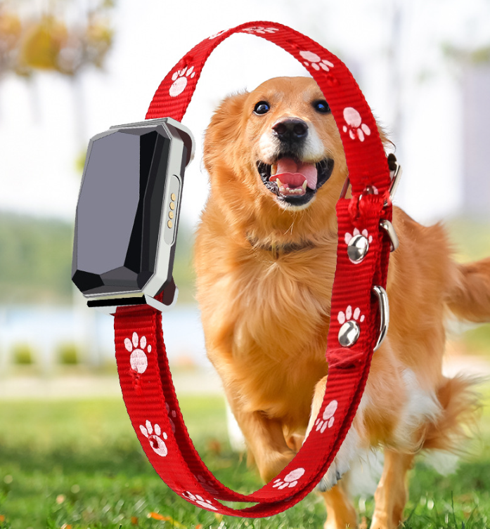 Pet Locator Image 4