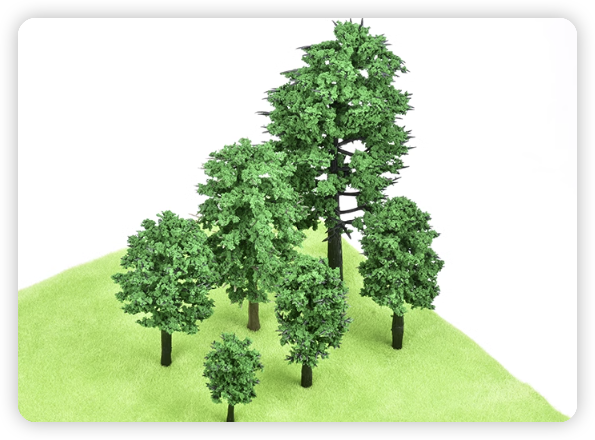 Fir Pine Model Tree Image 4