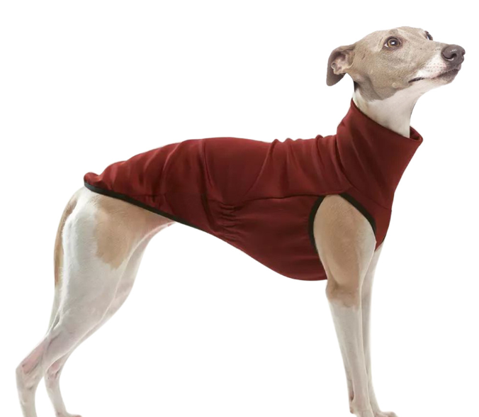 Cozy Pet Outfit