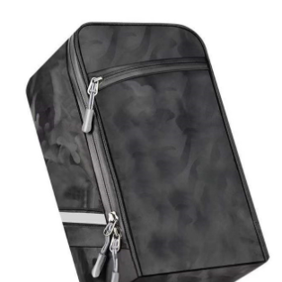 Backpack Image 2
