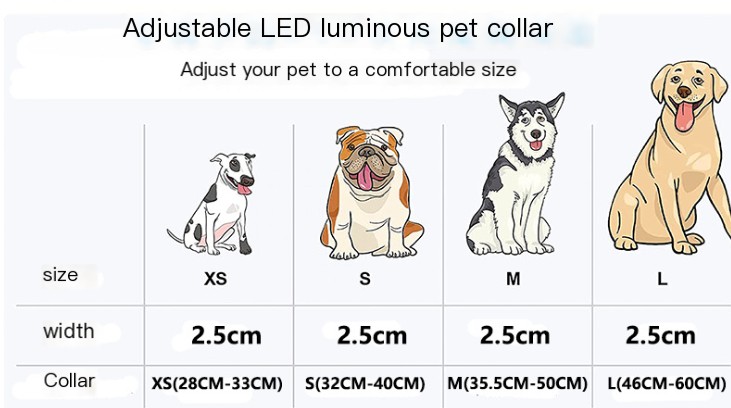 Dog LED Light Up Collar
