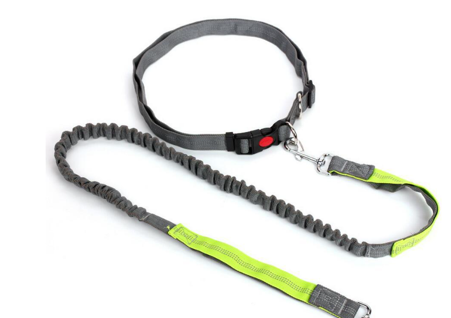 Traction Leash Image 3