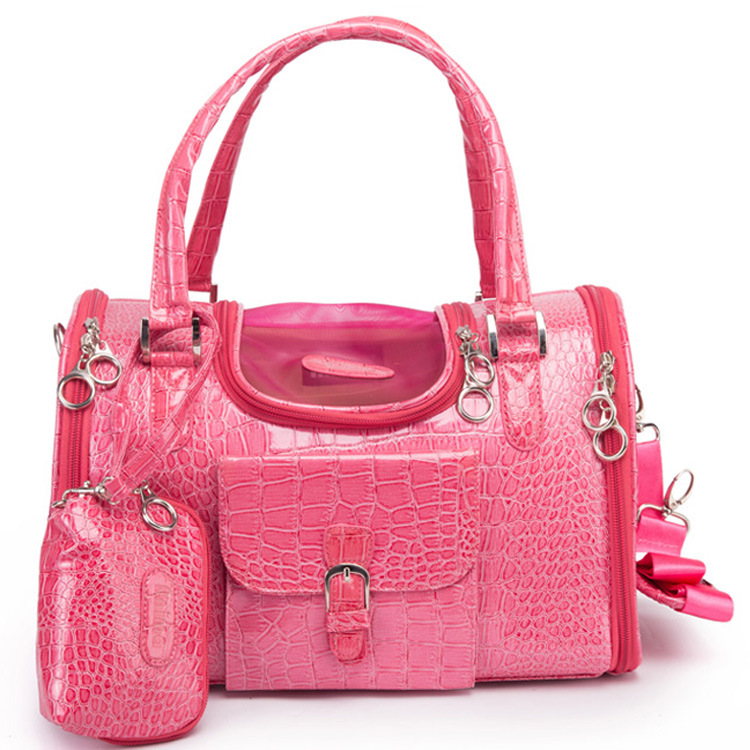 Companion Travel Bag - Image 3