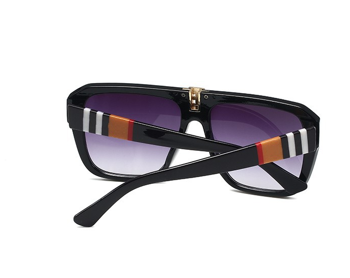 Model 4381 Sunglasses 3